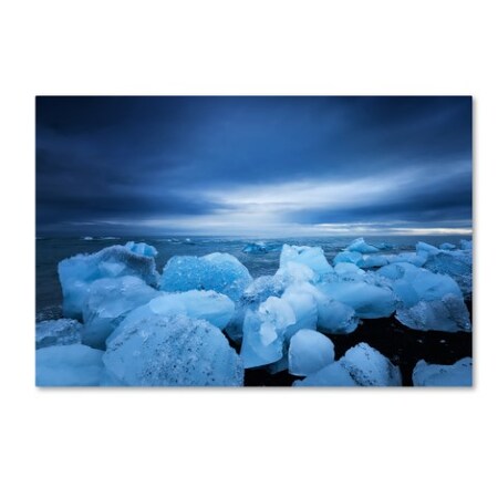 Trademark Fine Art Philippe Sainte-Laudy 'Blue Sentinels' Canvas Art, 16x24 PSL0636-C1624GG